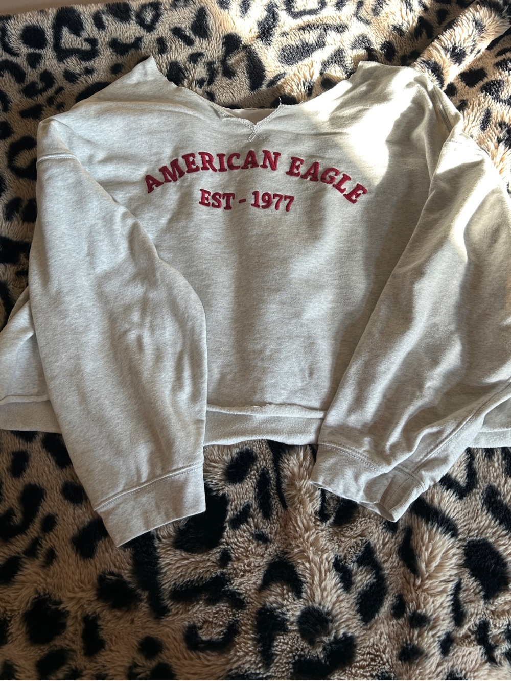 American Eagle Outfitters Cream Crewneck